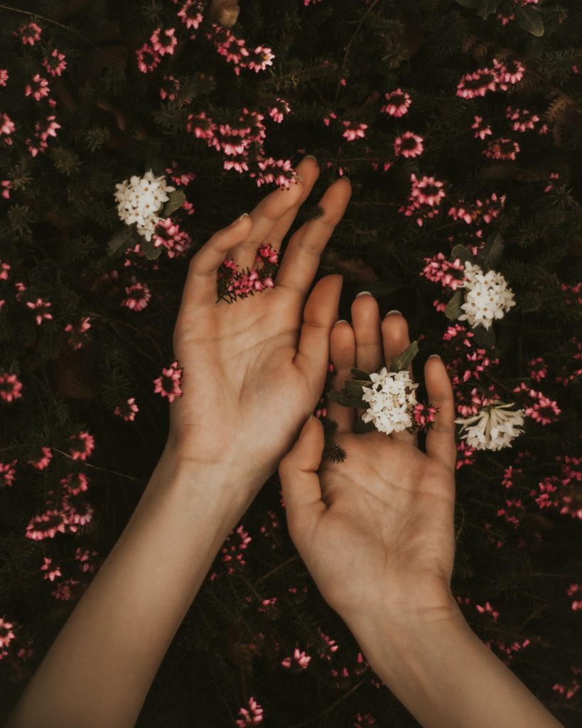 ayurveda
